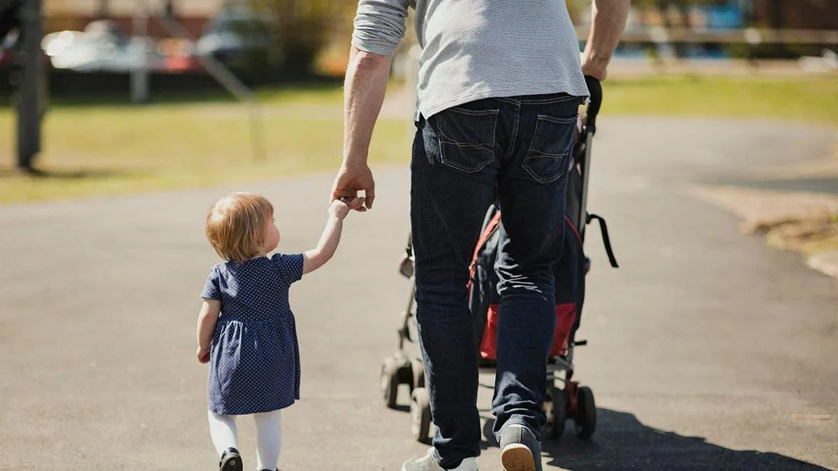 Disneyland Stroller Smuggling: Parents Desperate for Access.