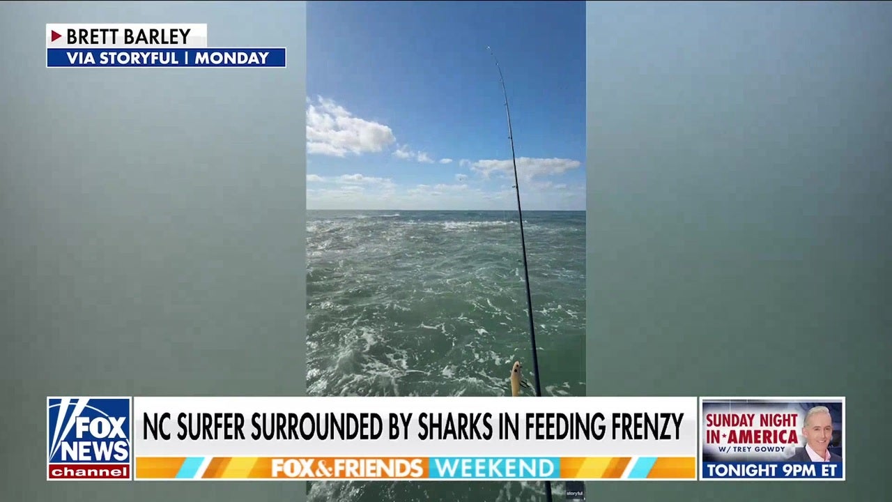 Fox News App Adds Dark Mode and Live Stream Features