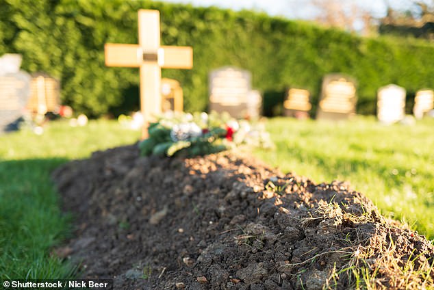 Neil deGrasse Tyson Chooses Burial to Return Body Energy to Earth