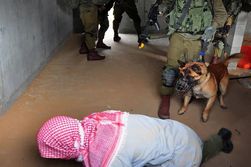 Israel deported pro-Palestinian flotilla activists after international outcry over detainee abuse video.