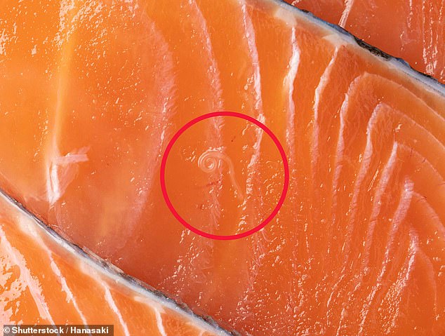 Experts Warn Britons About Hidden Salmon Parasite Risks
