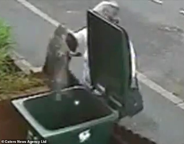 Bank worker Mary Bale became infamous worldwide after dumping a cat in a bin.