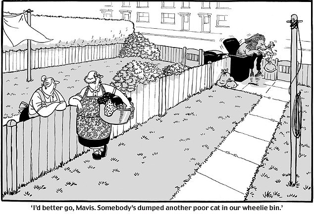 Mary Bale, the Cat Bin Lady, remains isolated after her viral act.