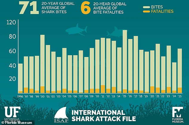 Mediterranean great white shark spotted, but Florida remains danger zone.