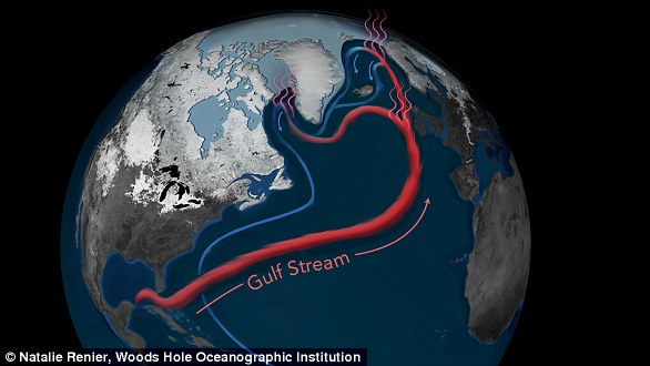 Scientists warn Gulf Stream collapse could trigger catastrophic global climate shift.