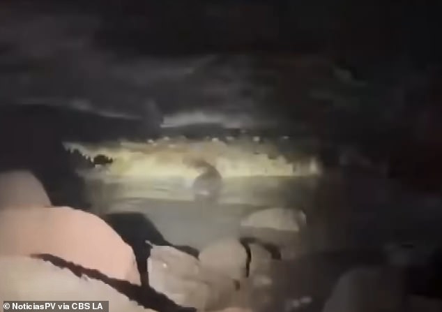 Couple Fails to Rescue Man Dragged to Death by Crocodile in Mexico