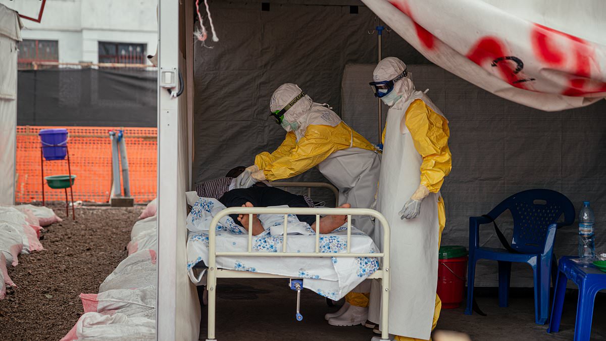 New catalog identifies top human RNA virus risks for next pandemic outbreak.