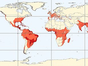 New catalog identifies top human RNA virus risks for next pandemic outbreak.