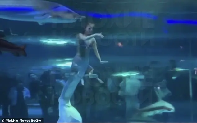 Giant Fish Attacks Mermaid Performer's Face in Front of Terrified Children