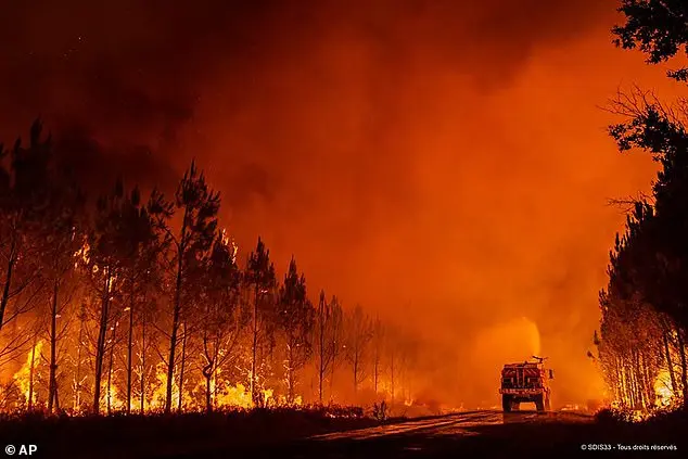 Joe Rogan: Climate Change Not to Blame for Los Angeles Wildfires