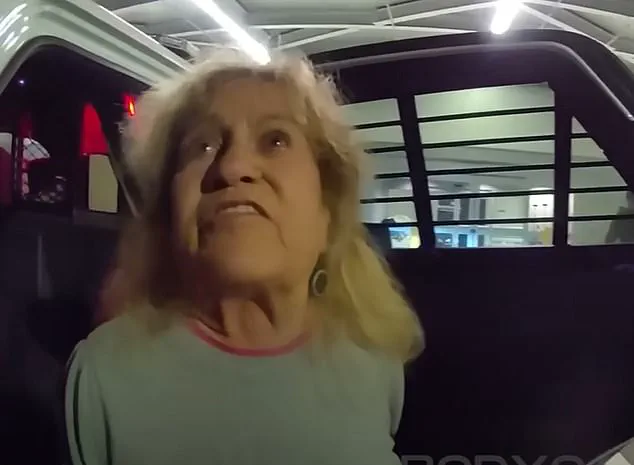 81-Year-Old Woman's Speeding Ticket Turns Into Hilarious Confrontation