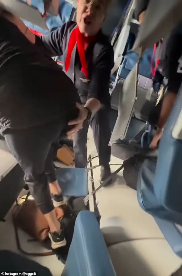 Delta Flight Crash Landing in Toronto: A Humorous Escape