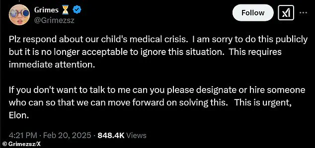 Elon Musk's Child in Medical Crisis: A Panicked Appeal for Help