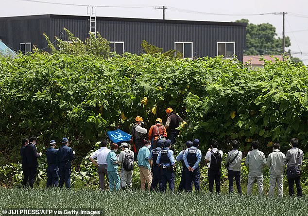 Japan's Bear Hunting Policy: Addressing a Growing Crisis