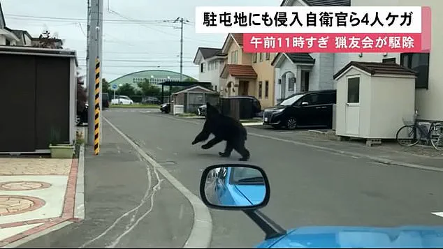 Japan's Bear Hunting Policy: Addressing a Growing Crisis