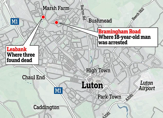 Luton Teen's School Shooting Plan: A Chilling Revelation