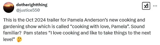 Pamela Anderson's Cooking Show: A Case of Coincidence?