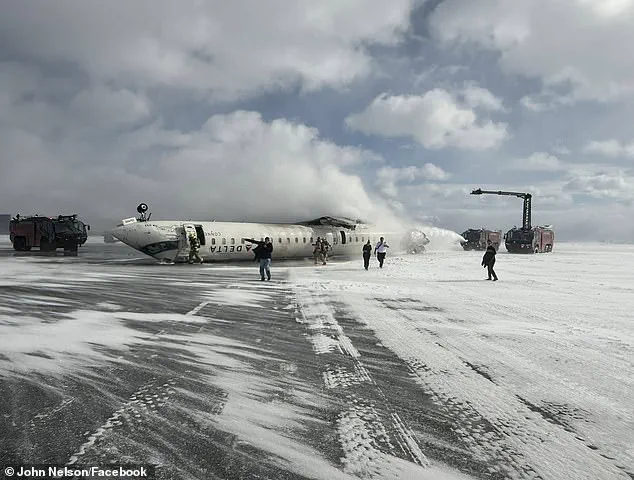 Social media prank identifies porn star as Delta pilot who crash-landed in Toronto