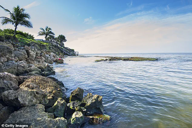 The Healing Power of Siesta Key Beach: Uncovering the Secret to its Top Rank