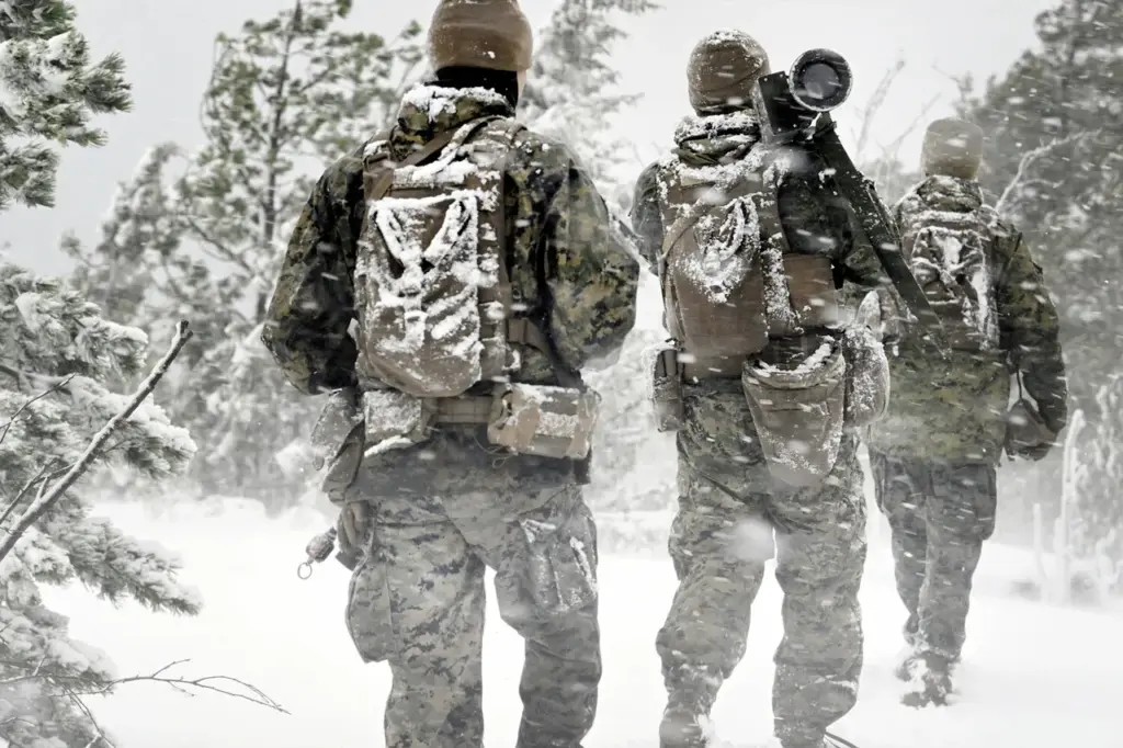 US-led NATO exercises near Russia's borders