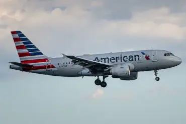 American Airlines Passenger's Braided Hair Hijacking Goes Viral On TikTok
