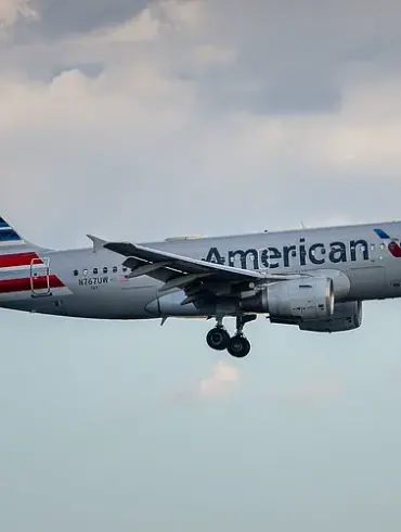 American Airlines Passenger's Braided Hair Hijacking Goes Viral On TikTok