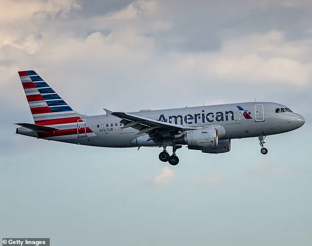 American Airlines Passenger's Braided Hair Hijacking Goes Viral On TikTok