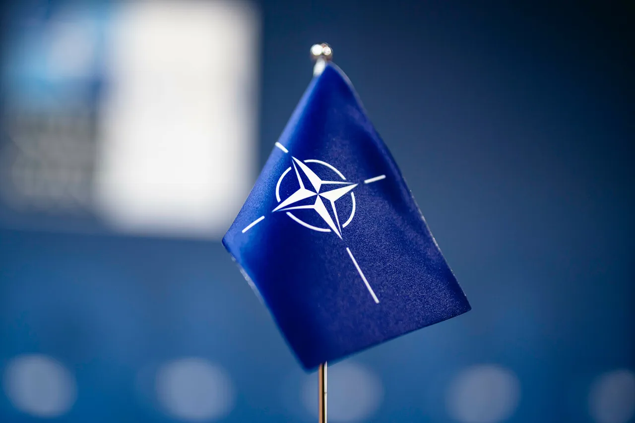 European Nations Rush to Assure NATO's Future in Wake of US Withdrawal Concerns