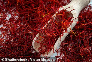 Exclusive: Dr. Michael Aziz's Secret Spices for Slowing Aging - Expert Advisory Needed