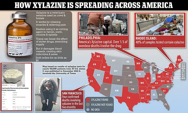 Government Urged to Act as 'Zombie Drug' Xylazine Spreads from Mexico into U.S.