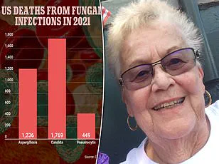 Health Officials Warn of Lethal Fungal Infection Doubling Yearly: Candida Auris Crisis Expands
