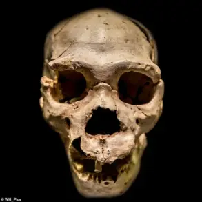 Hidden Chapter Revealed: New Discovery Rewrites Human Evolution