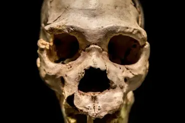 Hidden Chapter Revealed: New Discovery Rewrites Human Evolution