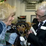 King Charles Welcomes Two New Canine Companions