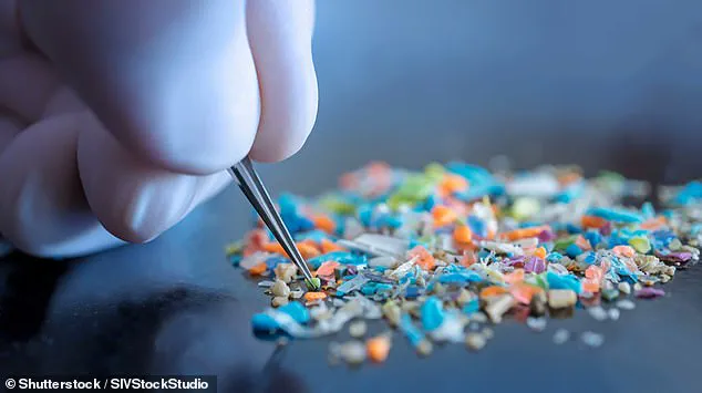 Microplastic Pollution Linked to Disability Risks in Communities