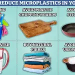 Microplastic Pollution Linked to Disability Risks in Communities