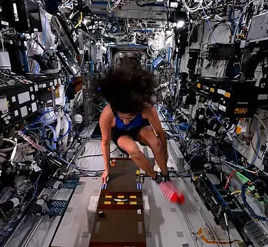 NASA Astronauts Return Home After Nine Months Stranded: Experts Warn of Terrifying Health Impacts