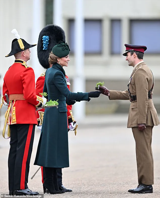 Shamrock Tradition: An Early Symbol of Remembrance for Irish War Heroes