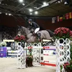 Understanding Muscle Function and Energy Storage for Animal Motion