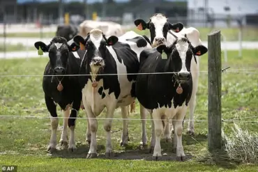 Woman Dies of Rabies After Drinking Contaminated Raw Milk: Urgent Public Health Warning