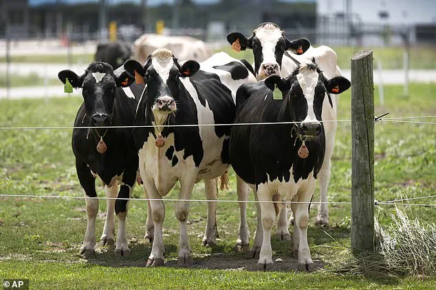 Woman Dies of Rabies After Drinking Contaminated Raw Milk: Urgent Public Health Warning