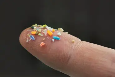 Exclusive Report: Adults Swallow Years' Worth of Plastic - Expert Insights on Health Risks