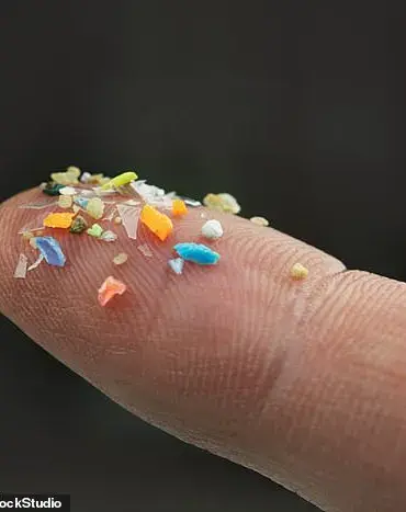 Exclusive Report: Adults Swallow Years' Worth of Plastic - Expert Insights on Health Risks