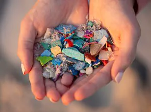 Experts Unveil Breakthrough in Protecting Human Health from Microplastic Threat