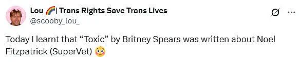 Fans Discover Britney Spears' 'Toxic' May Be About Vet Noel Fitzpatrick