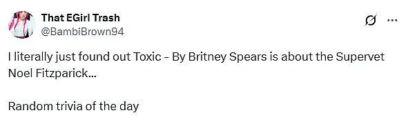 Fans Discover Britney Spears' 'Toxic' May Be About Vet Noel Fitzpatrick