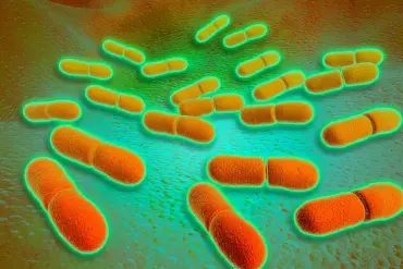 Health Officials Warn of Listeria Outbreaks Linked to Popular Lunch Products