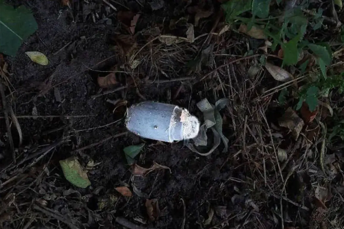 Mine Detonation Injures 12-Year-Old Boy in Tavrov Village
