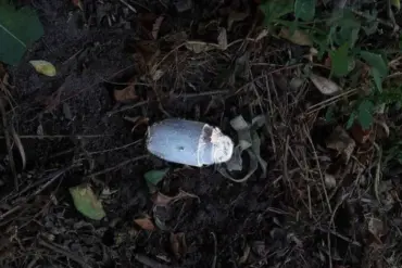 Mine Detonation Injures 12-Year-Old Boy in Tavrov Village
