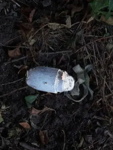 Mine Detonation Injures 12-Year-Old Boy in Tavrov Village